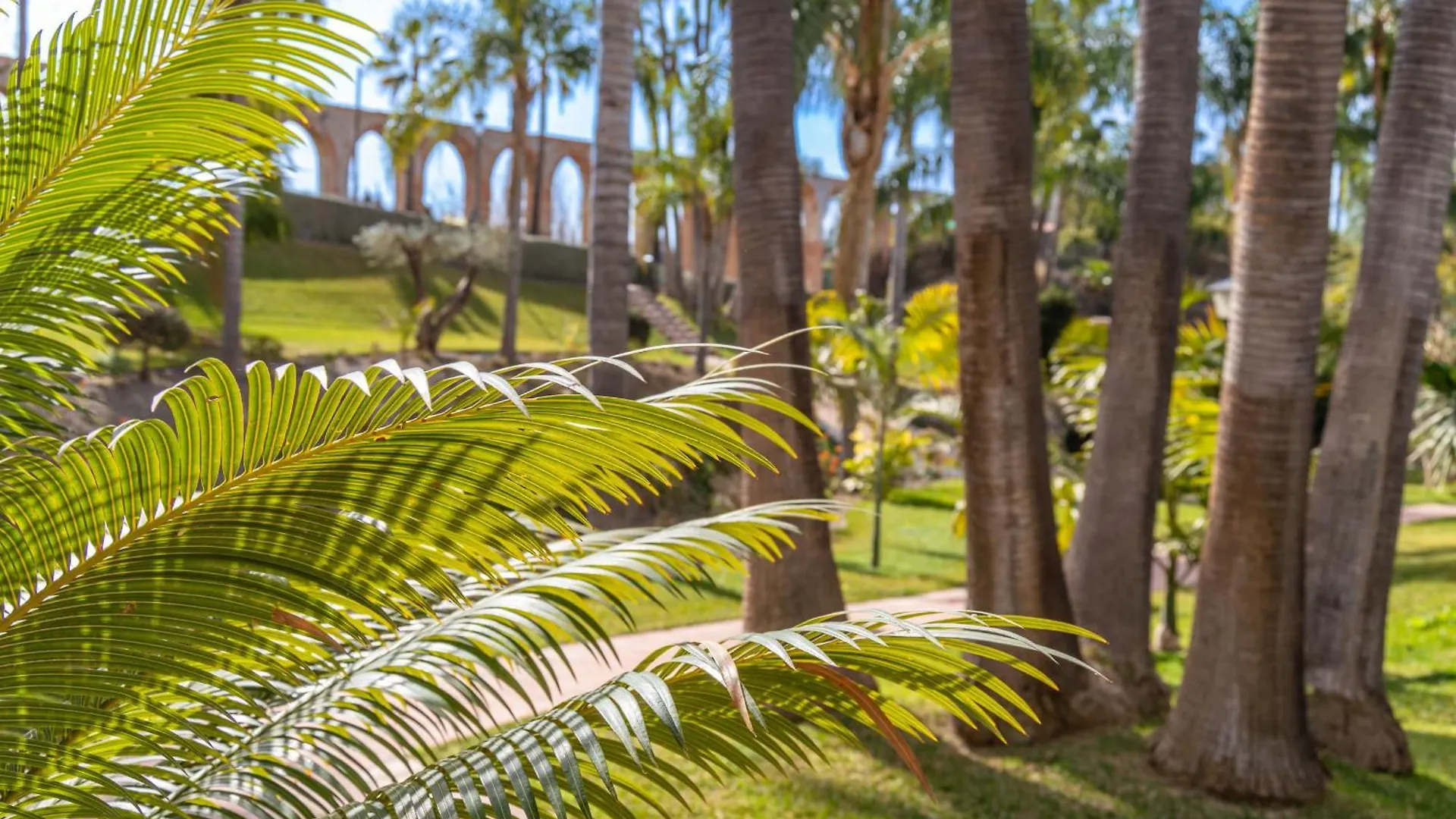 Tanger 3 Oasis Properties Nerja