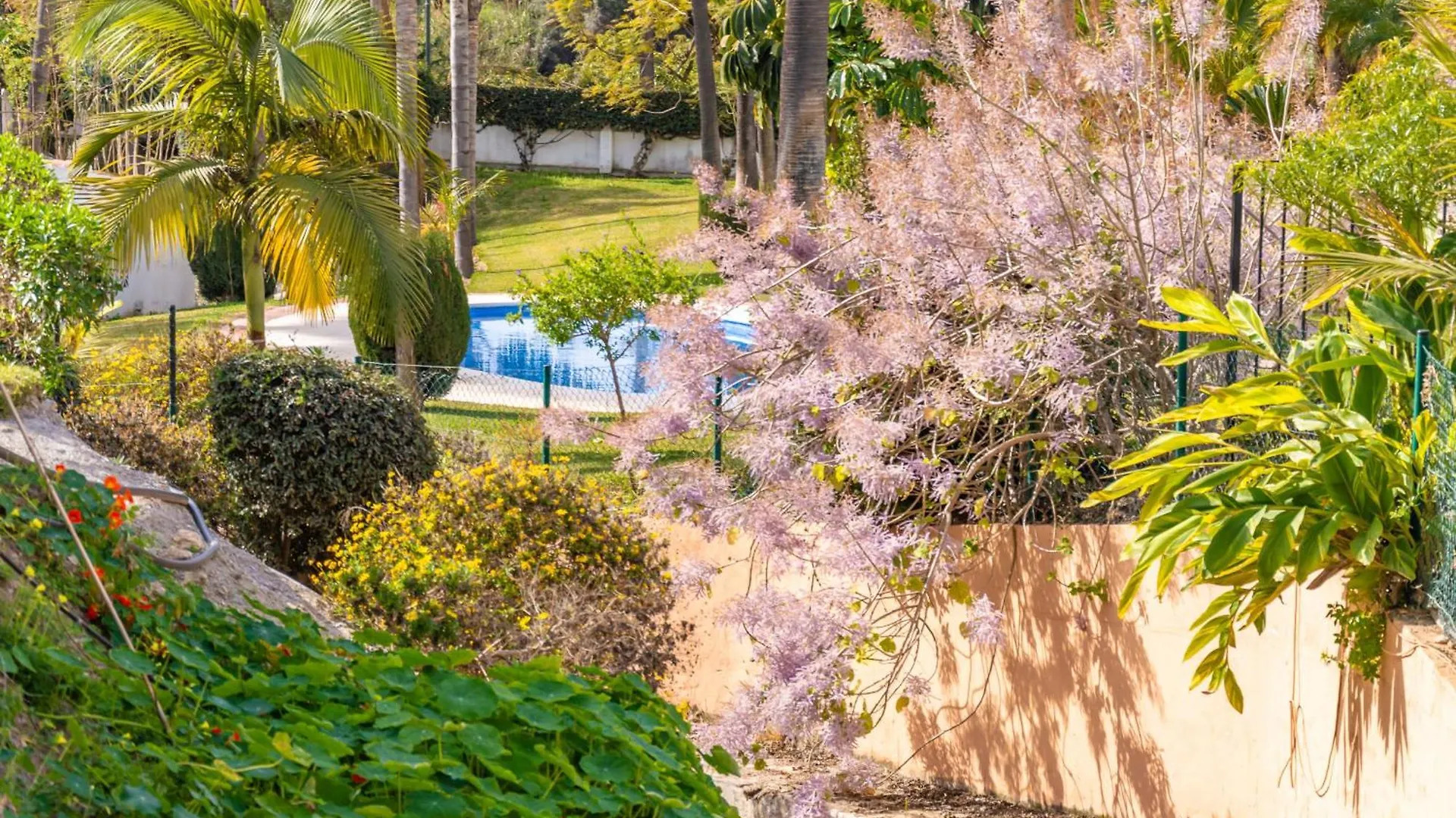 Tanger 3 Oasis Properties Nerja
