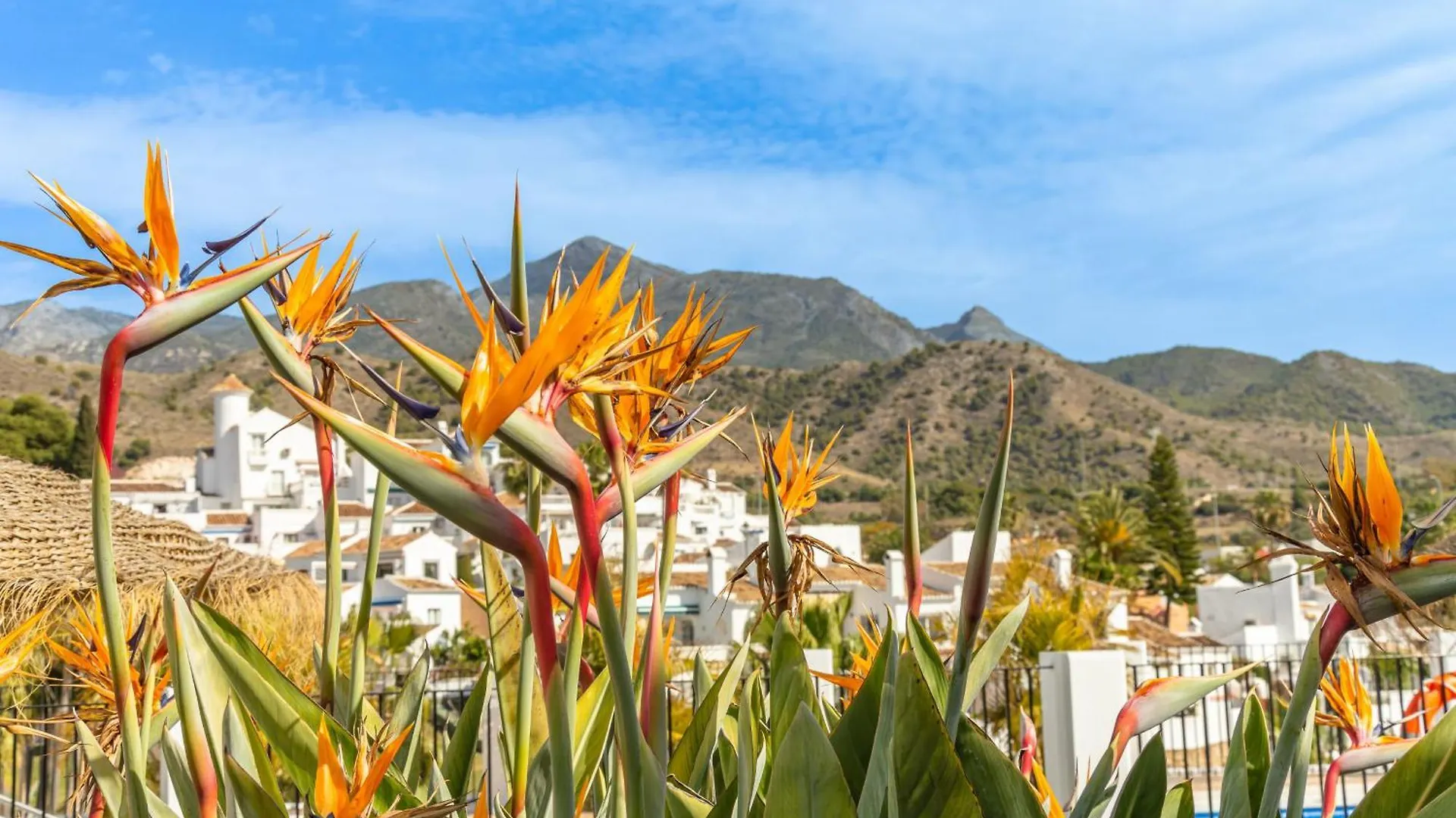 Tanger 3 Oasis Properties Nerja Spain