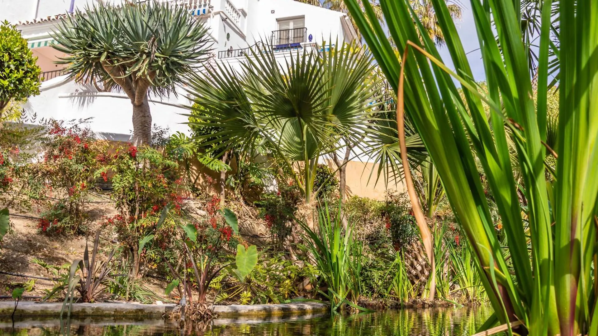 Apartment Tanger 3 Oasis Properties Nerja Spain